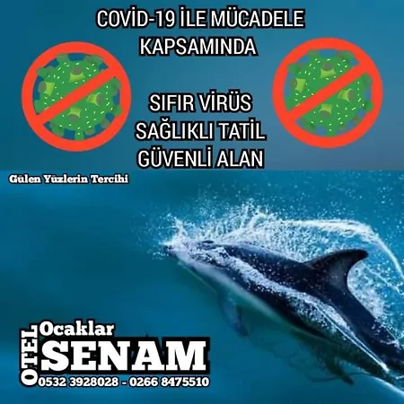 Senam 2*